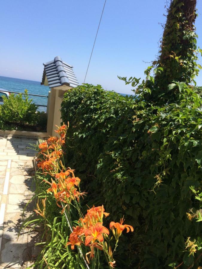 帕拉塔蒙Aegean Blue别墅 外观 照片