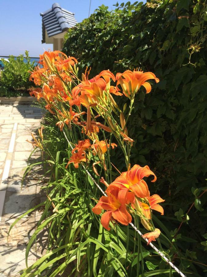 帕拉塔蒙Aegean Blue别墅 外观 照片